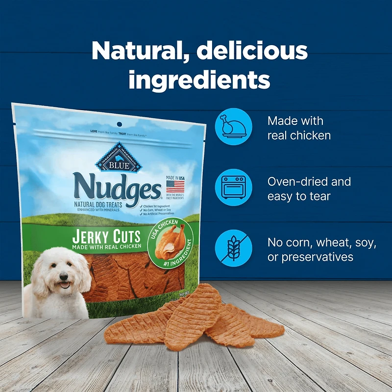 Blue Buffalo Nudges Jerky Cuts Natural Dog Treats, Chicken, 453g