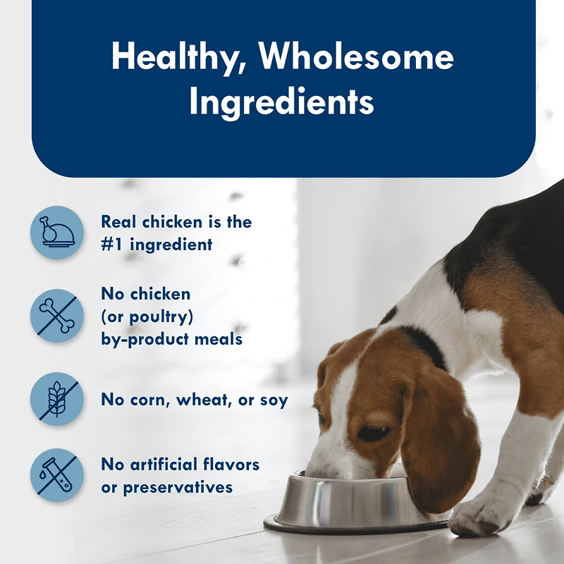 Blue Buffalo Delights Grilled Chicken Flavor, Pate Dog Food Tray, 3.5-oz,