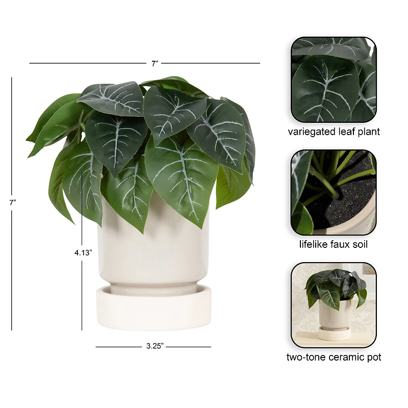 DesignOvation 7"H Artificial Variegated Leaf Plant in Two-tone Ceramic Pot