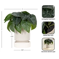 DesignOvation 7"H Artificial Variegated Leaf Plant in Two-tone Ceramic Pot