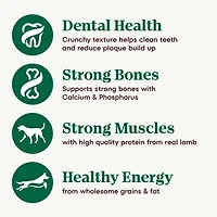 Nutro Natural Choice Small Bites Lamb & Brown Rice Recipe Adult Dry Dog Food 10kg
