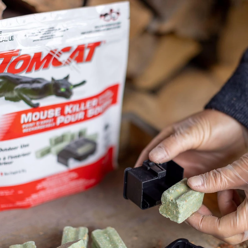 Point d'appât rechargeable Tomcat pour souris