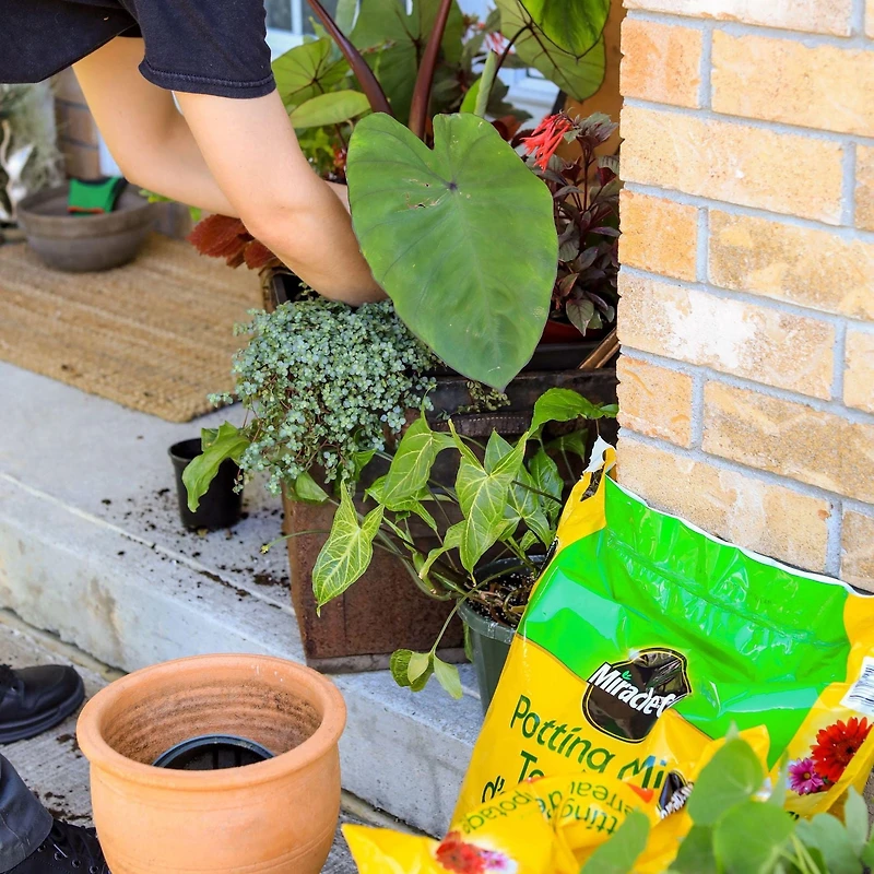 Miracle-Gro Potting Soil Mix - 8.8L