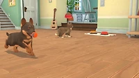 My Universe: Puppies and Kittens (PS4)