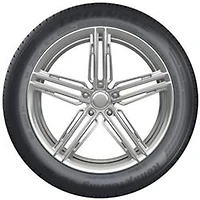 Triangle Reliax TE307 195/55R15 85V pneu