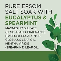 Dr Teal’s Salt Soak with Pure Epsom Salt, Relax & Relief with Eucalyptus & Spearmint, 1.36kg