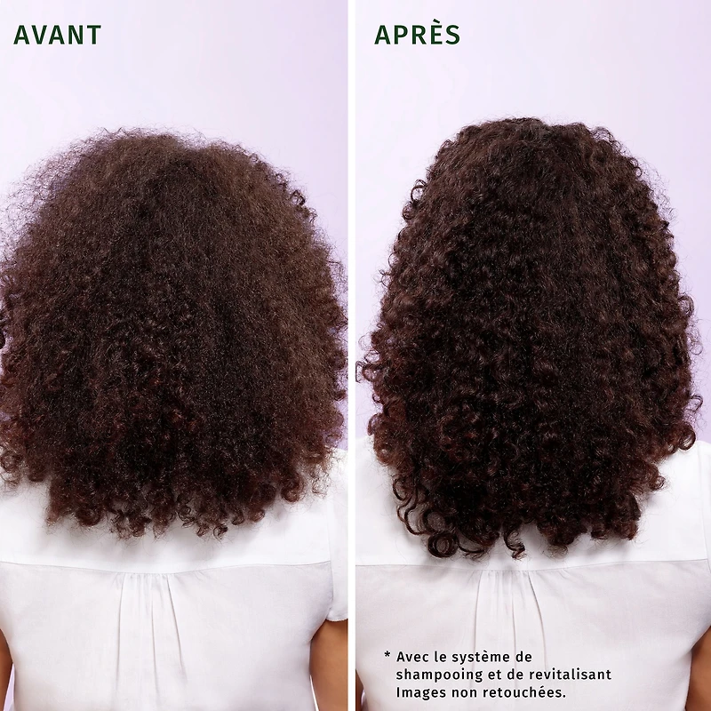 HERBAL ESSENCES Boucles JOJOBA et Lavande Revitalisant