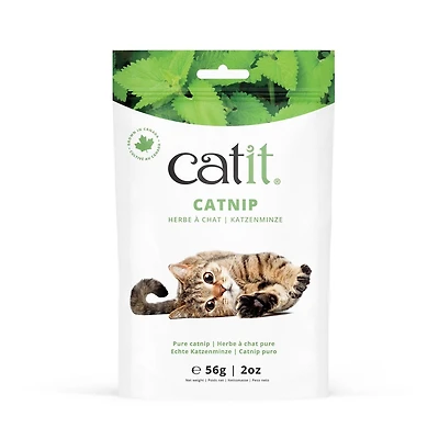 Catit Herbe à Chat Pure pour Chats, 28g