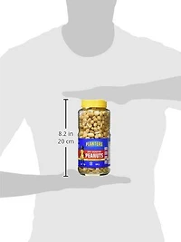 Planters Dry Roasted Peanuts - 454g