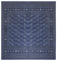 ECARPET Bokhara Traditional Oriental Area Rug