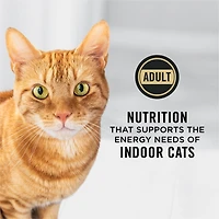 Purina Pro Plan Indoor Hairball Salmon & Rice Formula, Dry Cat Food 3.18 kg