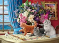 Puzzling Cats 1000 Piece Puzzle