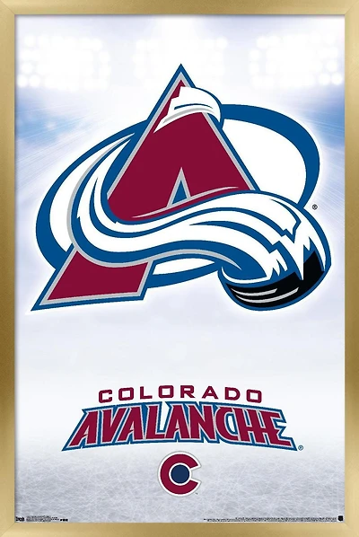 Avalanche du Colorado de la LNH