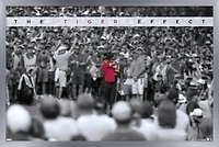 Tiger Woods - The Tiger Effect Wall Poster, 22.375" x 34"