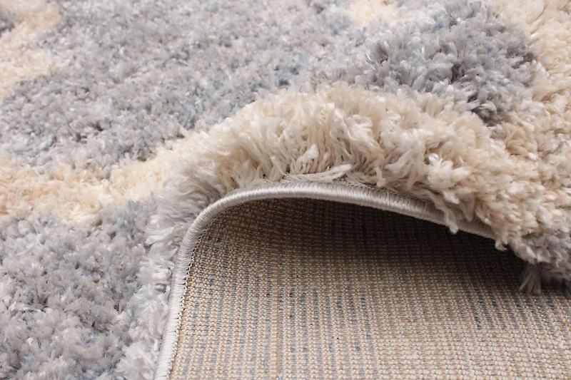 ECARPET Trellis Frieze Area Rug Fluffy Carpet for Bedroom
