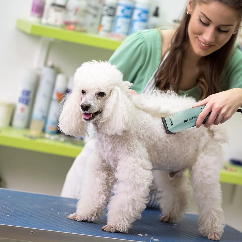 Wahl KM Inspire Tondeuse filaire pour animaux, moteur sans balais puissant, changement de lame facile, conception légère pour toutes les couches – Modèle – 59183