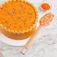 Way-to-Celebrate 12" Silicone Spatula, Orange Nuts