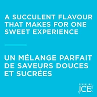 Sparkling Ice Black Raspberry Sparkling Water 503ML