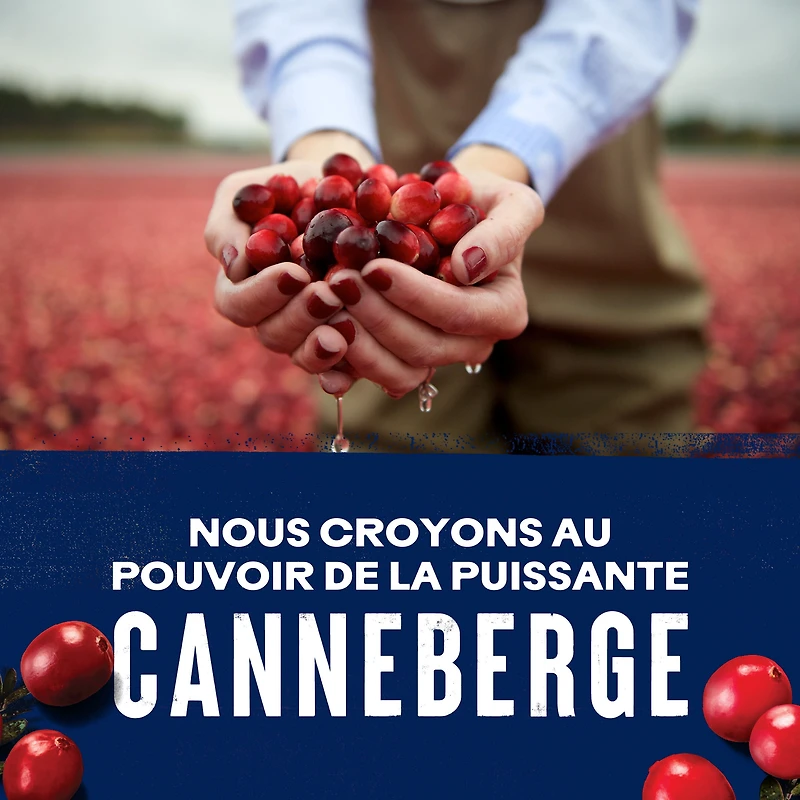 Ocean Spray Cran-Cherry ® Cocktail de Canneberges et de Cerises 1.89L
