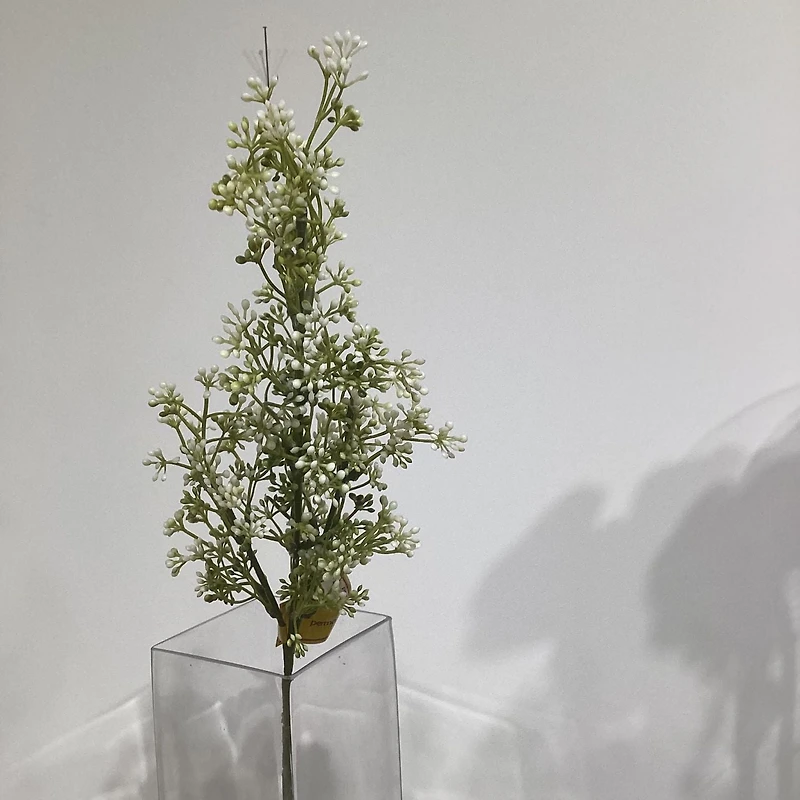White Baby'S Breath