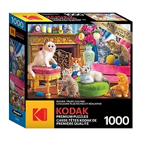 Kodak 1000 Piece Jigsaw Puzzle - Kittens Fireplace
