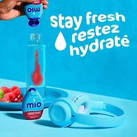 Aromatisant D'Eau Liquide Canneberges Et Framboises, Bouteille