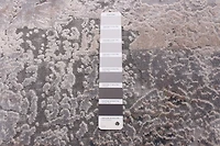ECARPET Modern Abstract Area Rug Phoenix Collection