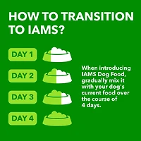 Iams Proactive Health Vieillissement en Santé Sénior Adulte Nourriture Sèche pour Chien Recette au Poulet & Grains Entiers 6.8KG
