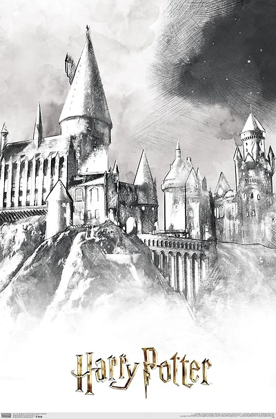 The Wizarding World: Harry Potter - Illustrated Hogwarts Wall Poster