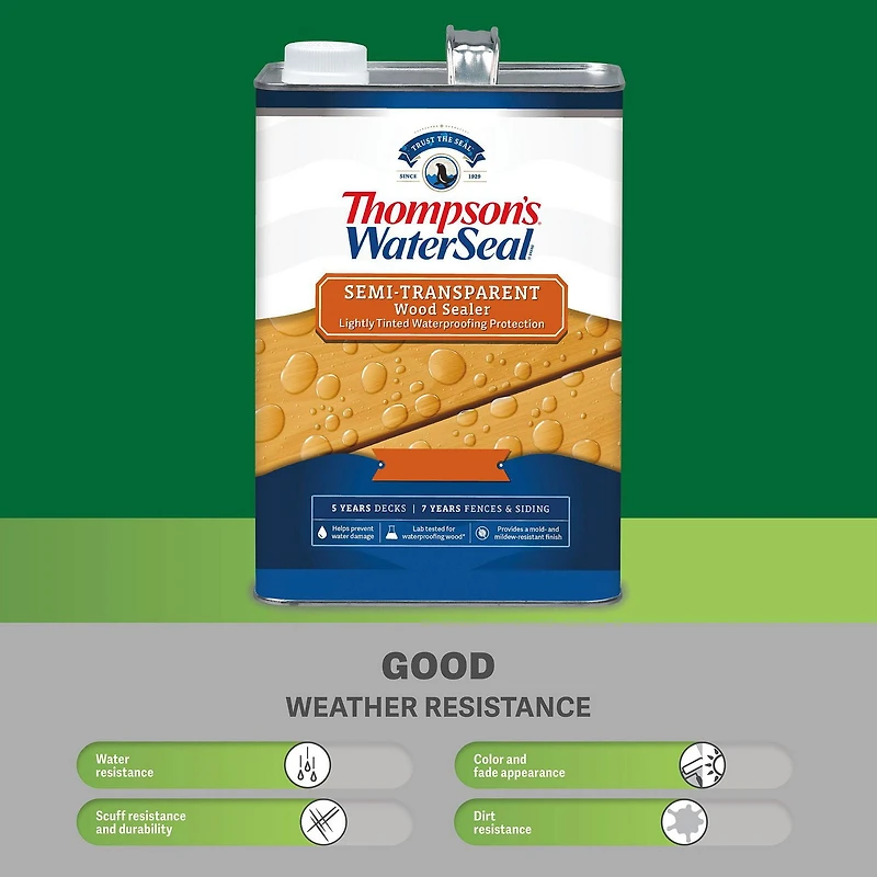 Scelleur semi-transparent pour le bois Thompson’s WaterSeal, tan désert, 3,78 l