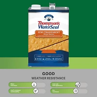 Scelleur semi-transparent pour le bois Thompson’s WaterSeal, tan désert, 3,78 l
