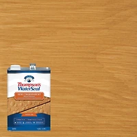 Scelleur semi-transparent pour le bois Thompson’s WaterSeal, tan désert, 3,78 l