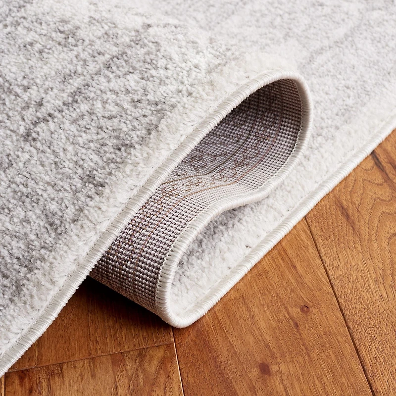 SAFAVIEH Adirondack Xavier Traditional Area Rug