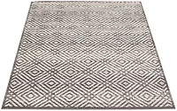 ECARPET Area Rug for Living Room, Geometric Indoor Carpet Ember Collection