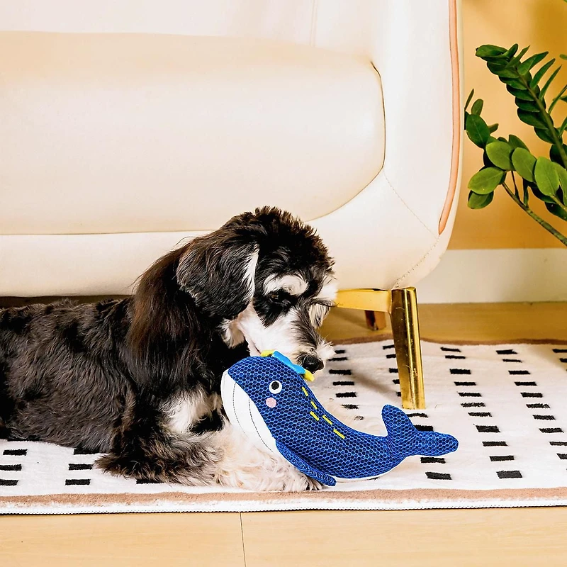 Hugsmart Baleine Peluche pour chien