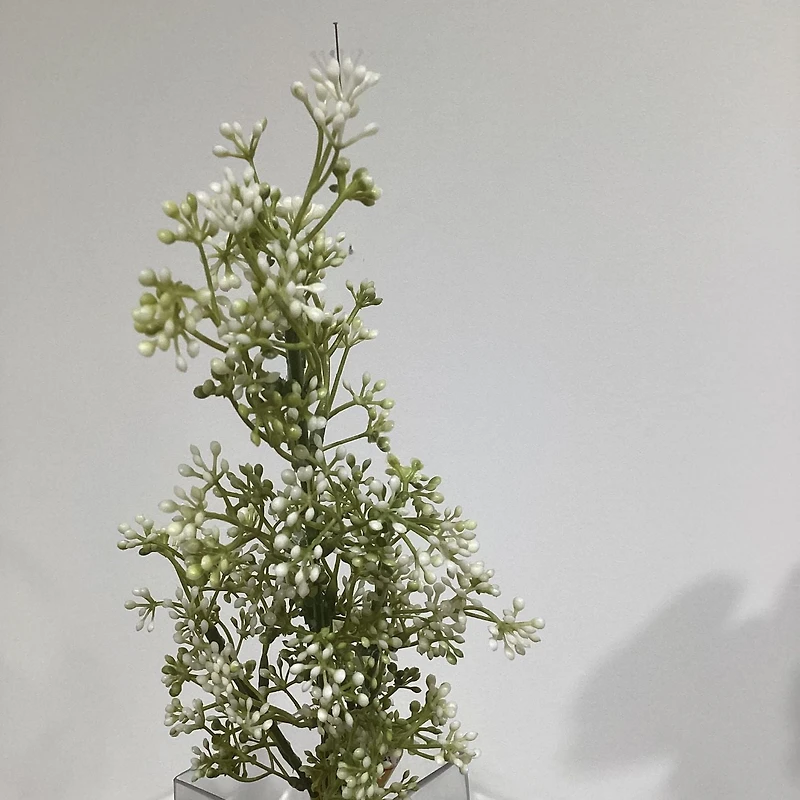 White Baby'S Breath