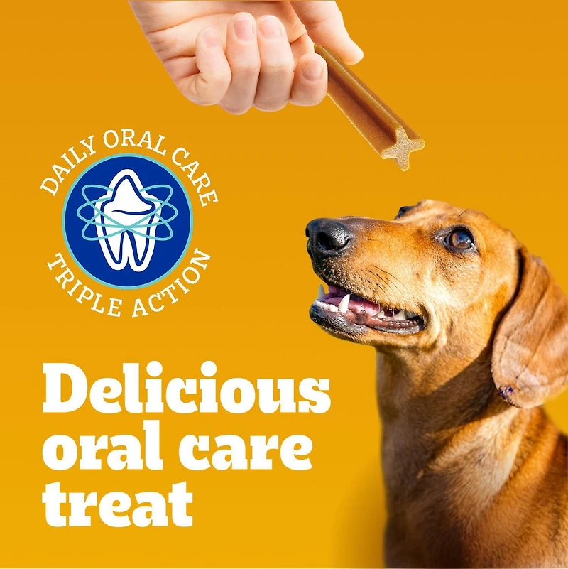 PEDIGREE DENTASTIX Gâteries de soins buccodentaires saveur de bœuf pour chiens adultes de race moyenne – réduisent l’accumulation de plaque et de tartre, 40 bâtonnets