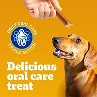 PEDIGREE DENTASTIX Gâteries de soins buccodentaires saveur de bœuf pour chiens adultes de race moyenne – réduisent l’accumulation de plaque et de tartre, 40 bâtonnets