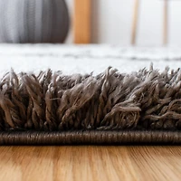 Safavieh Carmella Chase Aztec Fringe Shag Area Rug