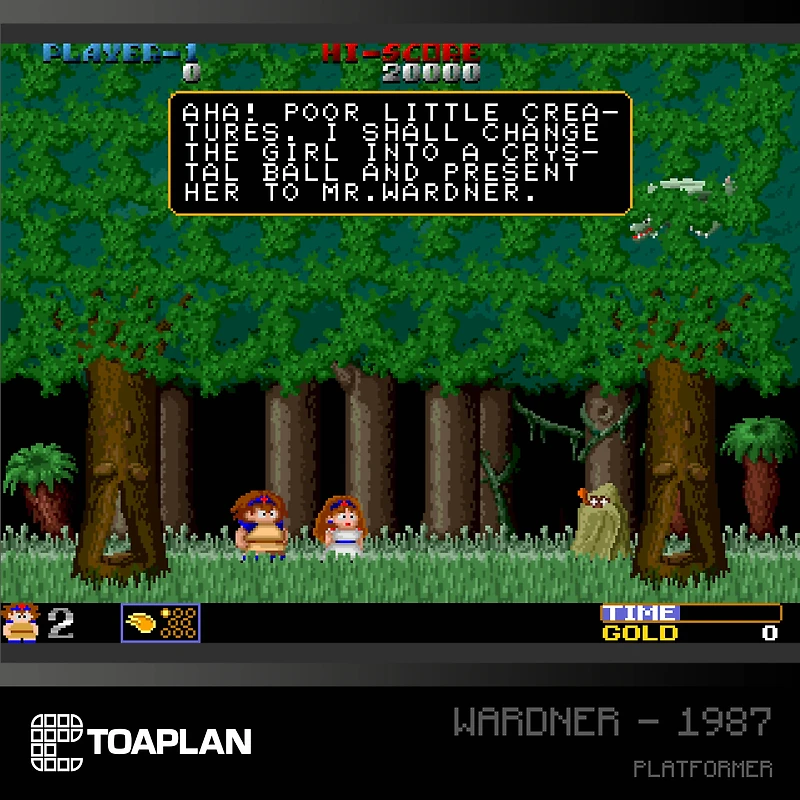 Evercade Toaplan Arcade Collection 2