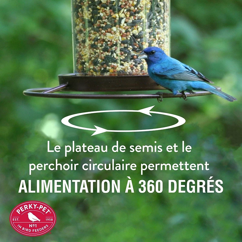 Mangeoire pour oiseaux sauvages Perky-Pet 2 lb