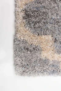 ECARPET Trellis Frieze Area Rug Fluffy Carpet for Bedroom