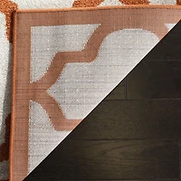 Safavieh Amherst Roderick Geometric Area Rug