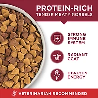 Purina ONE Microbiome Balance Beef & Rice Formula, Dry Dog Food 1.72kg