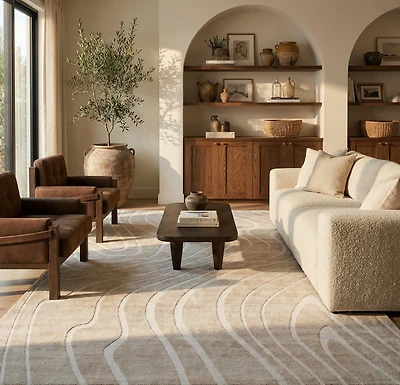 Minimalist Modern Abstract Indoor Area Rug