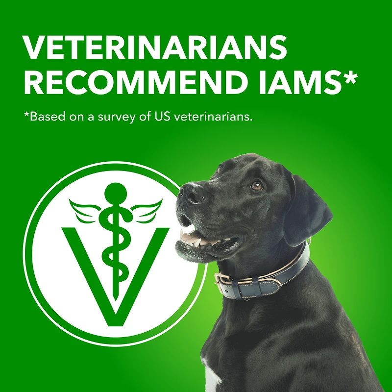 Iams Chicken & Whole Grains Recipe Adult Large Breed Dry Dog Food 6,80 kg