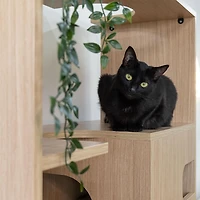 Mobilier Multifonctionnel pour Chats TANKEN avec Rangement, Chêne, Taille Unique