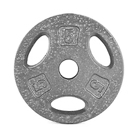 Plaque de préhension standard en fonte CAP Barbell, 1 pouce, 5 lb, simple, grise