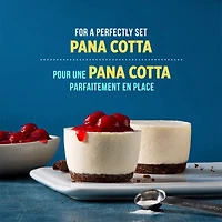 Dr. Oetker Gélatine Poudre (28g)