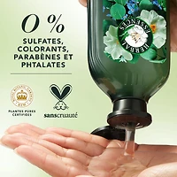 Herbal Essences Scalp + Purify Shampoo, Cleanses The Scalp for Soft Hair, Eucalyptus, Sulfate-Free, 400 mL
